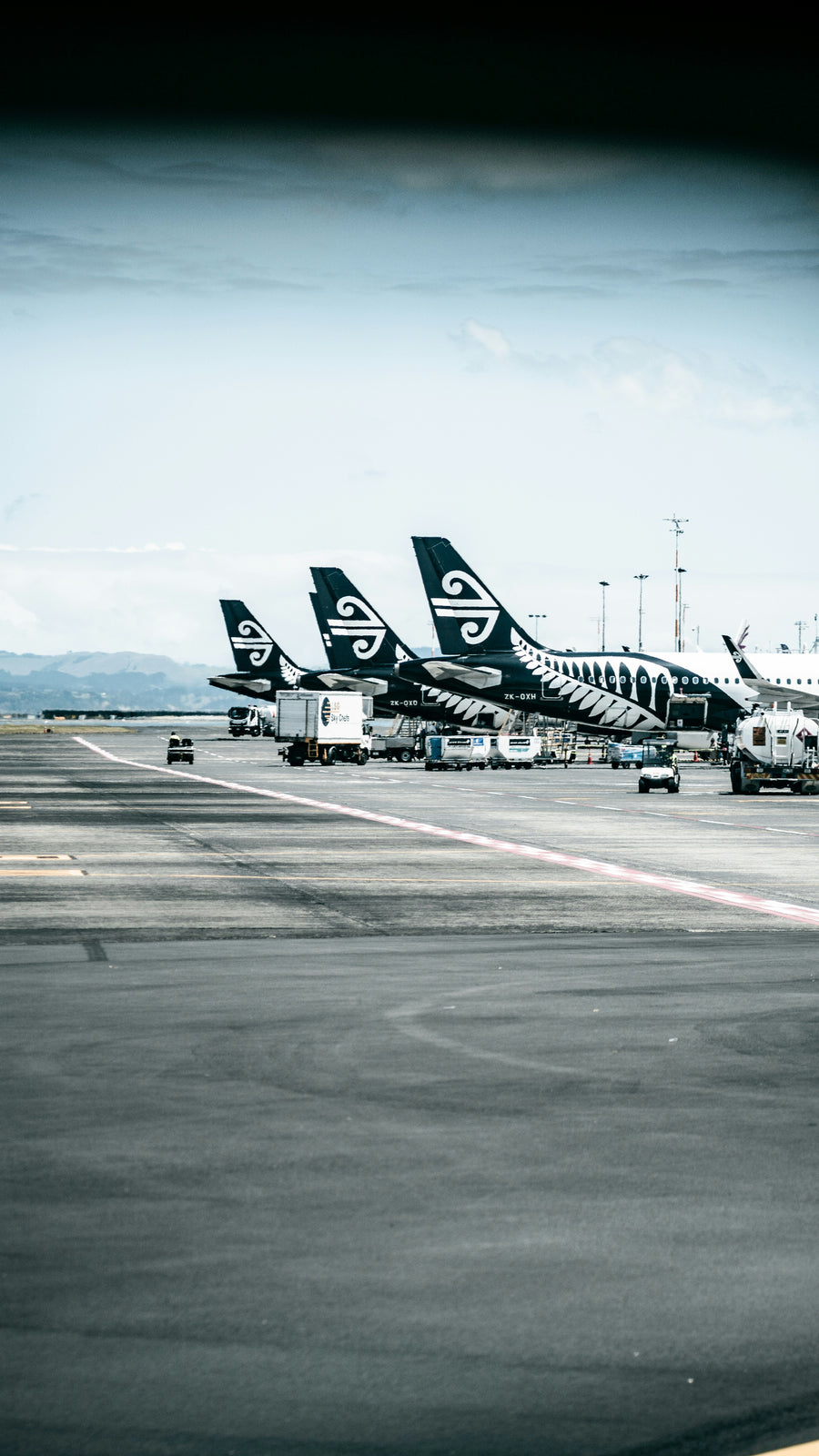 Repatriation