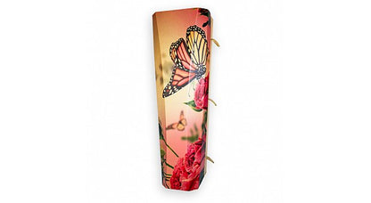 Outside the Box Eco Cardboard