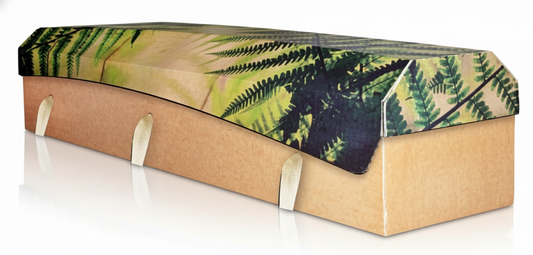 Outside the Box Eco Cardboard