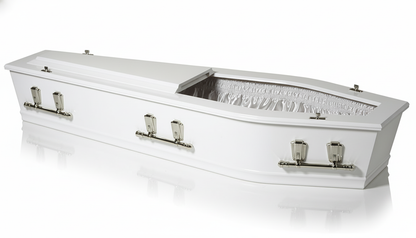 Status Clearview Casket