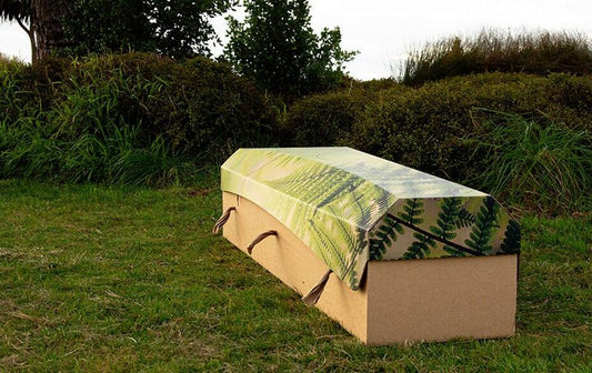 Outside the Box Eco Cardboard