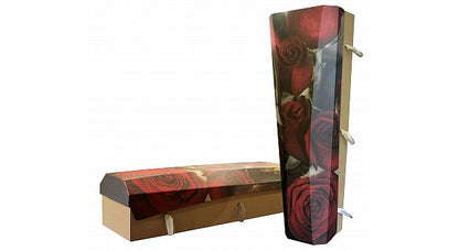 Outside the Box Eco Cardboard